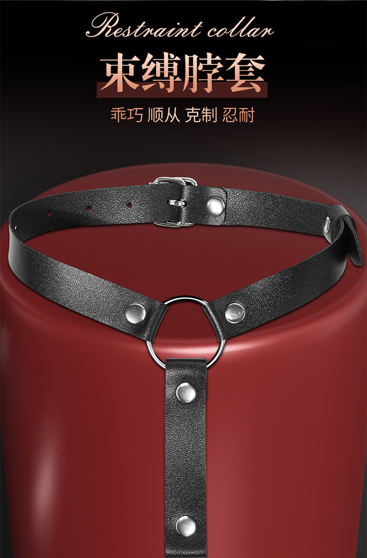 Jiuai SM Anal Hook with Leather Binding Strap, Stainless Steel Couples Training Toy — detail image 6