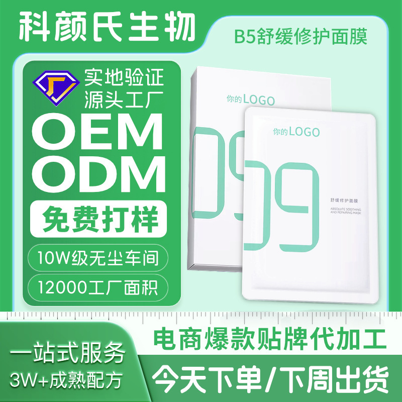 人気のカスタマイズされた OEM OEM b5 修復マスク、保湿、鎮静、赤み、温かい睡眠スキンケア製品の加工|undefined