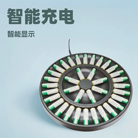 电池充电器;充电电池;镍氢电池