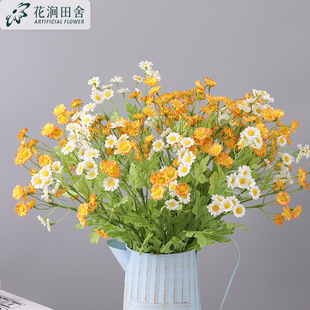 ���滨 ��ʾ� �͏d�����b�c���ÔzӰ�[��ins�ٻ�С�r�� ���l