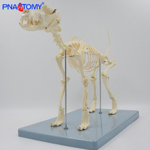 ������ģ�� Ȯ�Ǽܽ��ʽ̾߷���С���^�Ǽ����P���ɲ�ж ����չʾ