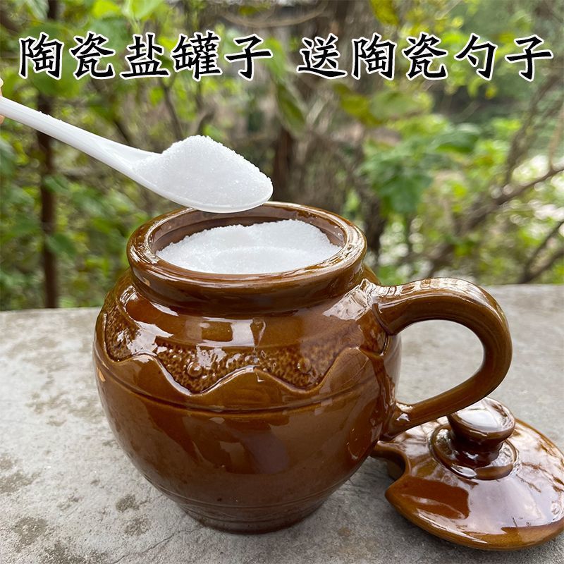 陶瓷罐带勺家用盐罐子带盖老式调味料罐防潮盐罐子调料罐