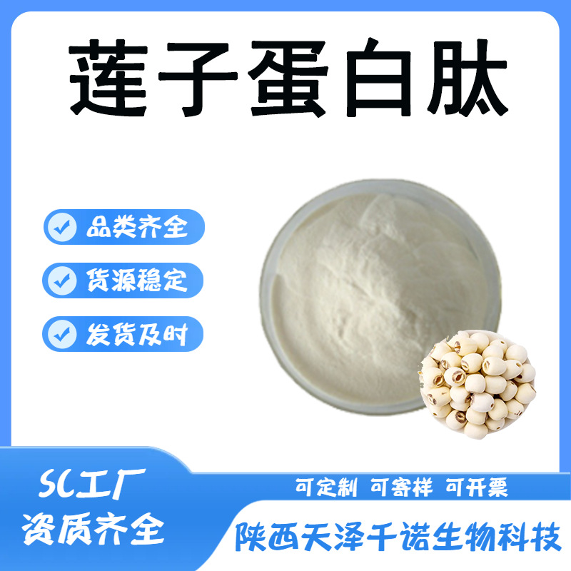 莲子蛋白肽 多规格莲子提取物 水溶小分子低聚肽 原料供应 kg现货