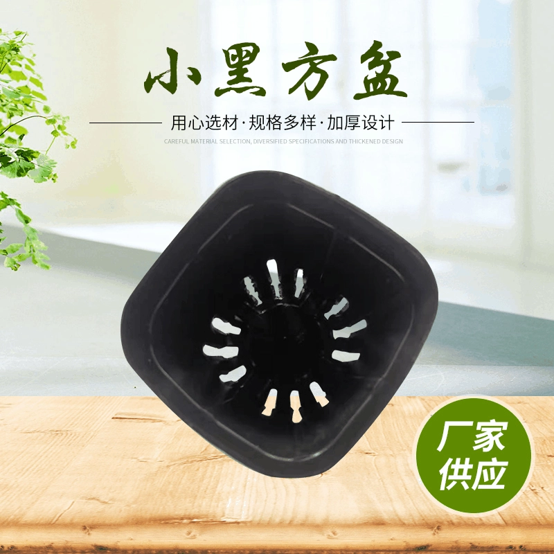 Маленький черный квадратный цветочный горшок для суккулентов, черный пластиковый белый квадратный цветочный горшок для пионов, роз, садоводство, маленький черный квадратный горшок