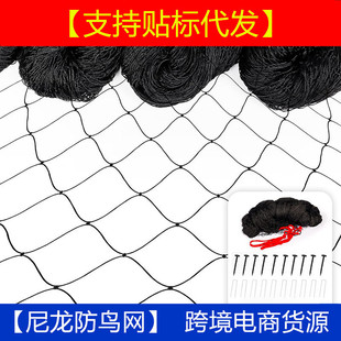 �羳؛Դ�Ӵּ��݇��ھW�̨��؈�W�����������W�w�C�����@���B�W