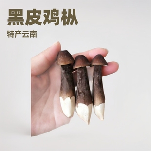 25�꼃��؛�u����؛����خa���ʳ�����r��Ƥ�u����ˮ�����r�|��