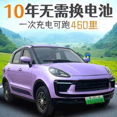2025 新しい電動四輪車ホームモビリティレディースエアコン新エネルギーオイルと電気デュアルユース電動四輪車