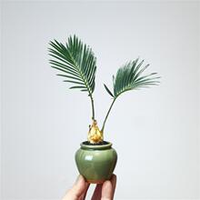 �F�䌚���K�F�辰���������k���ҕ�����X��ؐС�Gֲ��ꎺ��Bֲ��