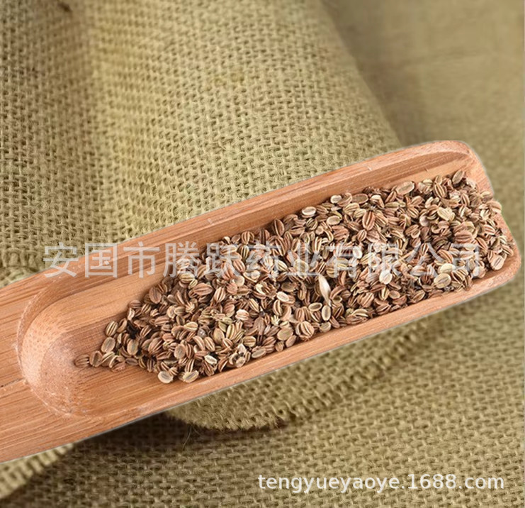She Chuang Zi Cnidium Seed Dried Whole Seeds 500g Traditional Chinese Herb overview
