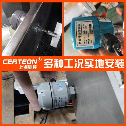 Paddle level switch controller 24V/220V high temperature explosion-proof bin level meter material level switch