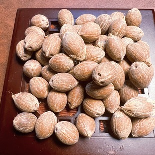 �Ͻ���ԭ������ԭ��������ԭ������ԭ����Ů�P��W���ִ���������