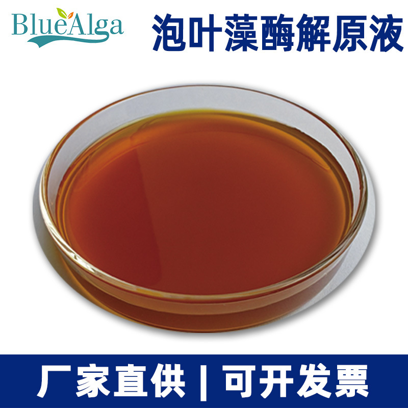 厂家批发 泡叶藻酶解原液 酶解海藻液 海藻多糖液体  海藻提取液