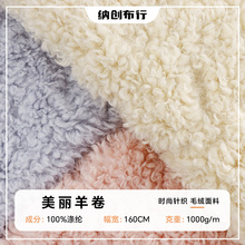 美丽羊绒羊卷毛面料大羊卷绒布现货 服装家居服玩具鞋帽毛绒布料
