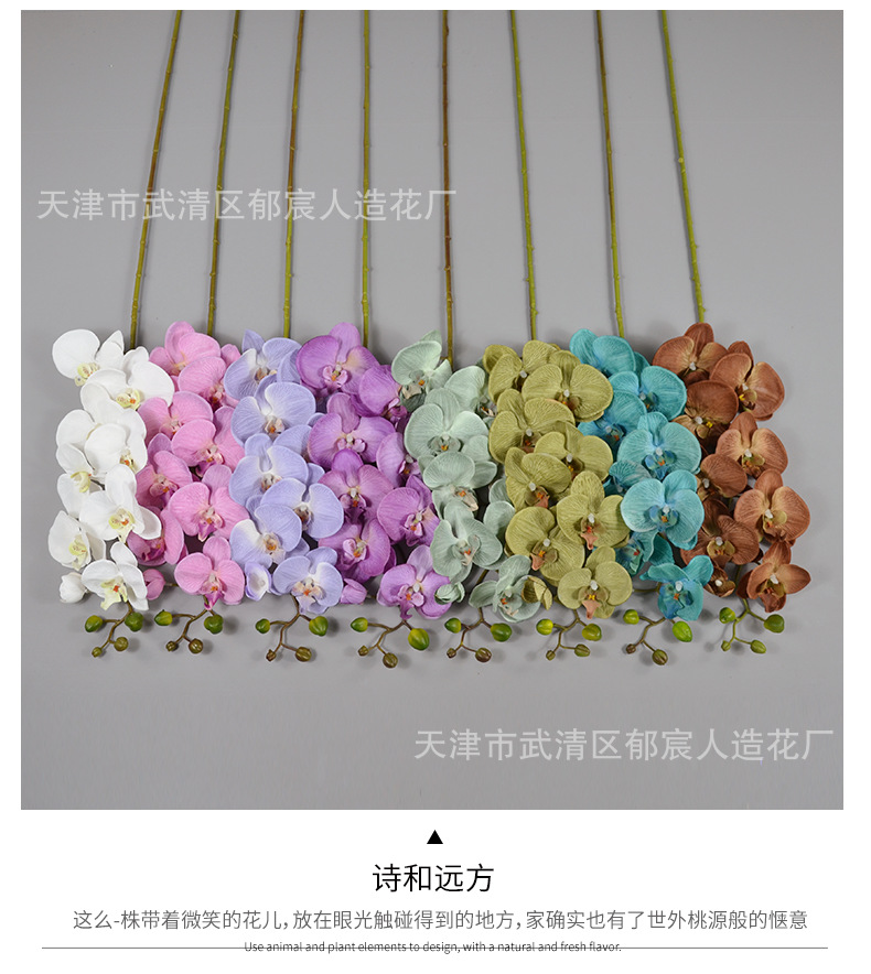 详情_06.png