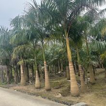 �����ؙ����е������Ҭ�Ӯa�����l12�׸����˿���r