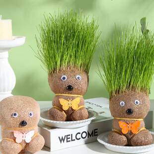 Grass-Headed Doll with Grass on Its Head, Desktop Small Potted Plant, Kidsren's Fun Planting Office Mini Hydroponic Green Plant