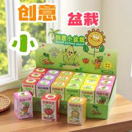 儿童植物种植盲盒盆栽幼儿园桌面绿植摆件学生励志奖品礼物小盆栽