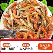 ����������ZС�~���r�ɰ����������Z��B�׵�ˮ�oʳ����~�}