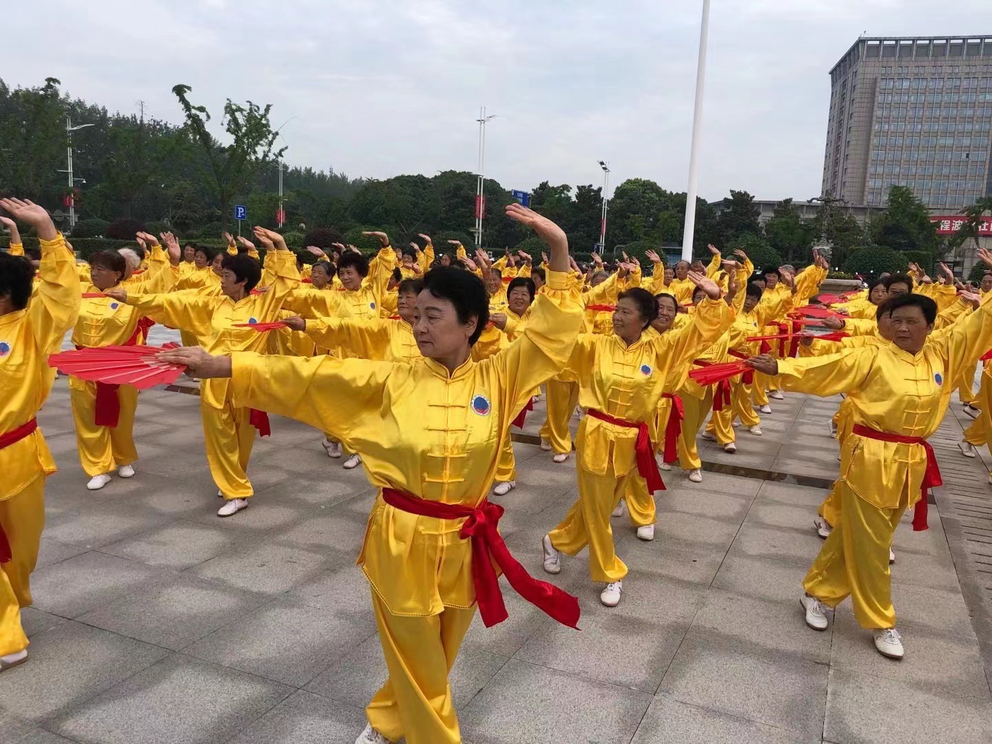 8056da38-913d-44ef-8757-9db71d