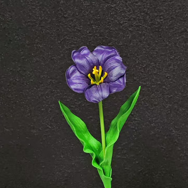 Tulipanes de cacao púrpura oscuro