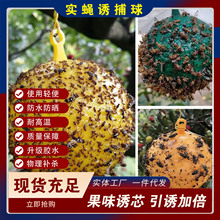 ճ�x���Tω�����ᘷ����ω�Gɫ�Sɫ���x�����岶�x����ω�T����