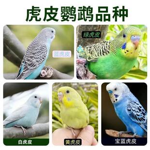 ��Ƥ�W�^�B�����B���B�������r�ɽ��fԒ�����B�ɷ�ֳ�µ����l����