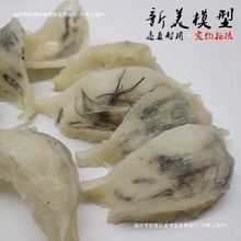 燕窝模型毛燕带燕囊底座白燕角模具塑料摆件拍摄燕屋装饰道具