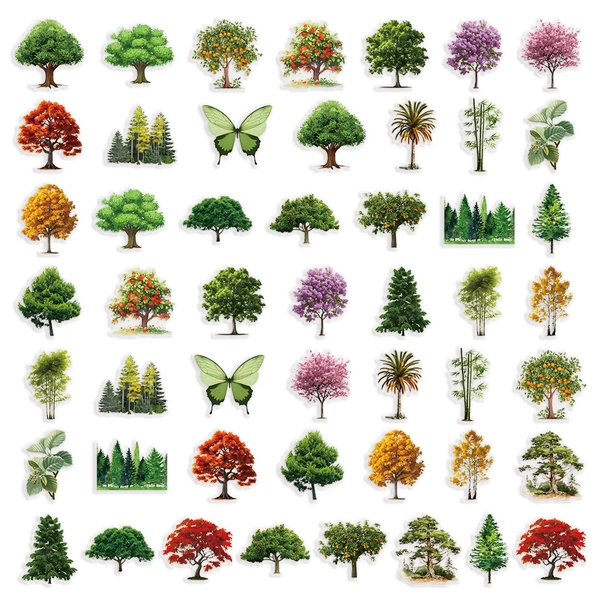 Conglin Secret-50PCS (PET transparent)