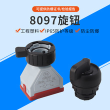 rS 8097o_P ͣ_PλoDQ_P