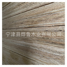 ���~�ɰ�l���Ӱ�r�� ���B���̲���ľ���S�����l ��ϵº���0407