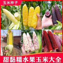 rʳ׷NˮװŴNѺŴݮNݴNȫ