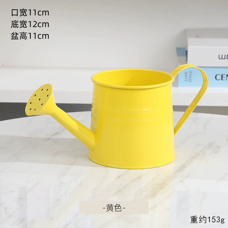 Regadera de hierro de colores vibrantes para jardinería, regadera al por mayor para floristerías, flores frescas, ramos, arreglos florales y exhibiciones florales.