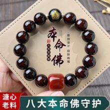 2025�������������ִ�ʮ����Ф���o�@ָ���Ȧ���汾���������