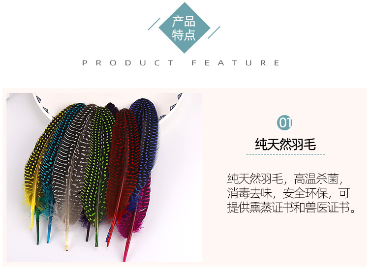 珍珠窝翎_02.jpg