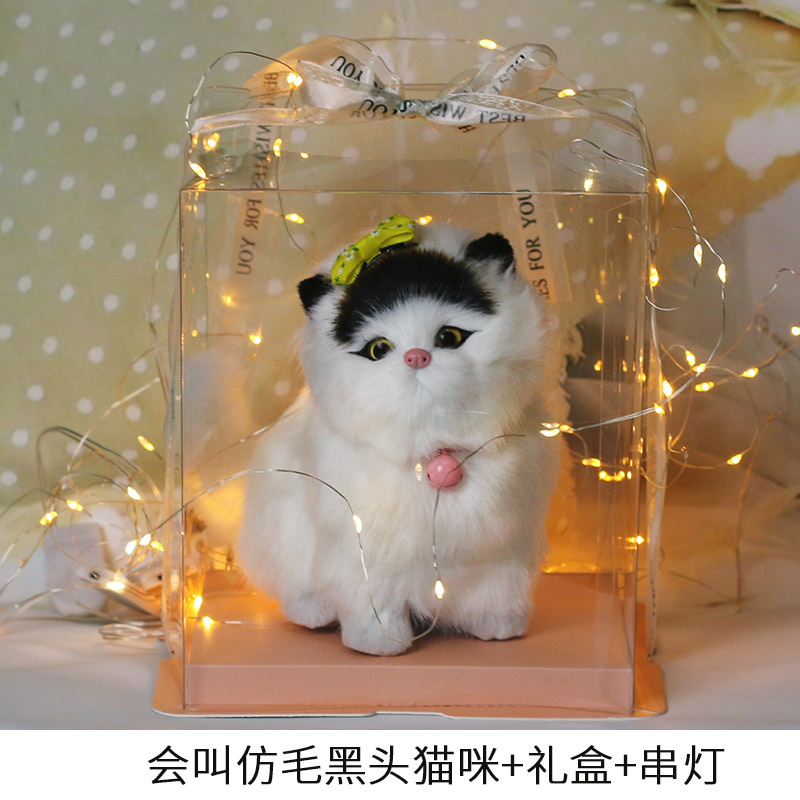 램프가있는 모조 머리 블랙 헤드 앵커 투명 선물 상자