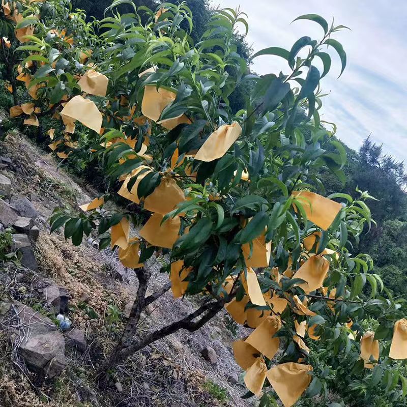 微信图片_20250214152020