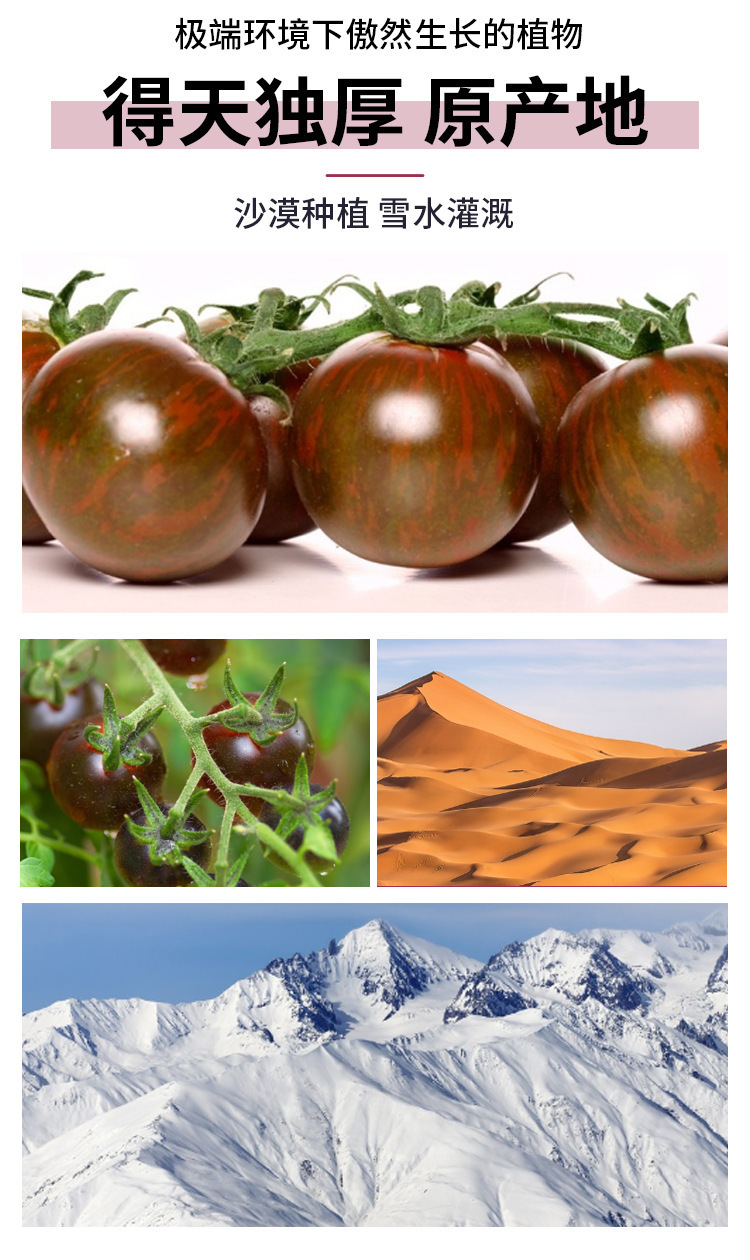NFC Pure Black Tomato Paste 200kg Drum Bulk Ingredient Wholesale OEM Private Label specifications