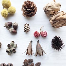 ɻ ֦ɹ޻ɏ׃@ɹdiy޹bĔz