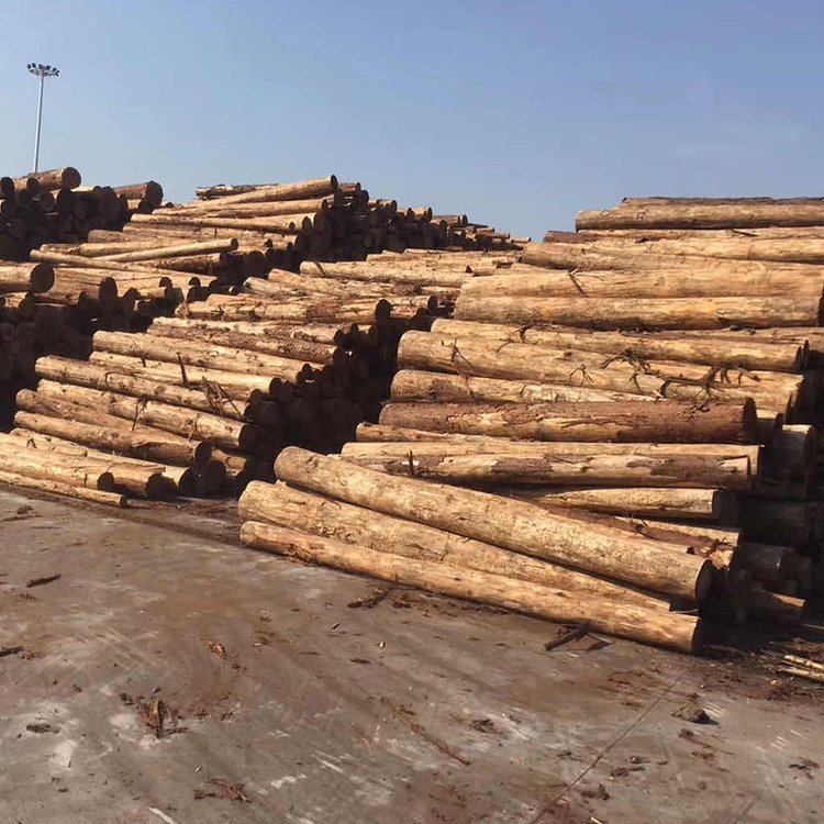 海边围堰圆木桩河道整治支撑杆林场加固木椽子河堤围岸防汛木桩