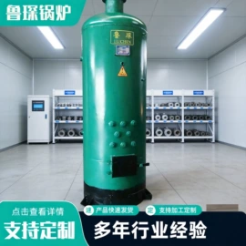 蒸汽发生器;燃煤锅炉;不脱硫除尘