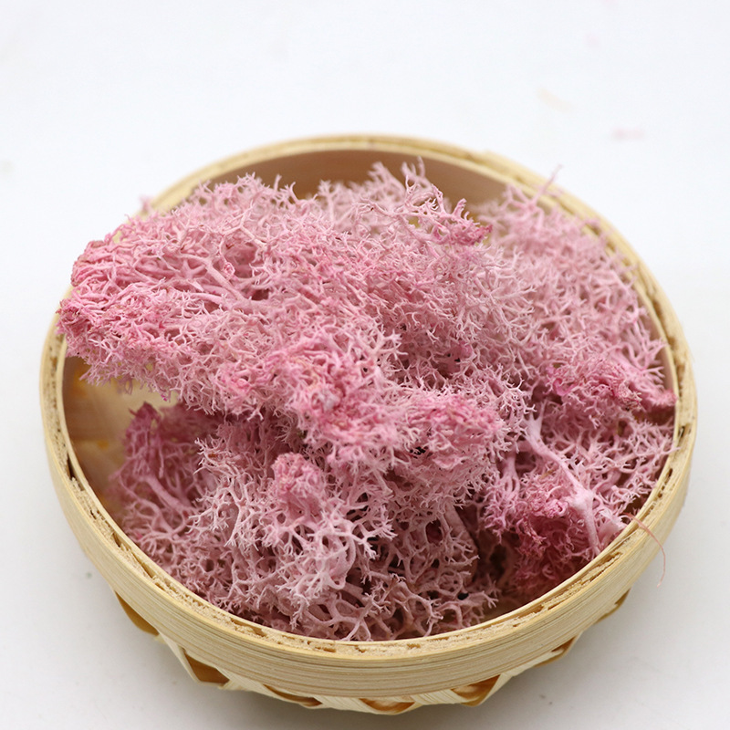 Cold pink