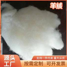 动物毛鬃;纺织填充物;羊毛/羊绒被
