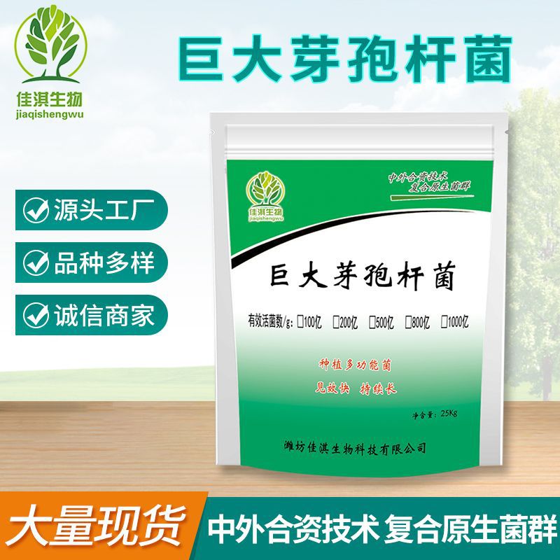 500亿巨大芽孢杆菌 水产养殖用微生物菌肥添加剂 固氮芽孢杆菌