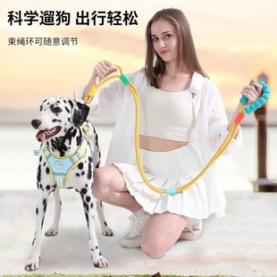2024 new wholesale dog explosion-proof anti-break non-slip wear-resistant cotton candy double traction rope dog walking artifact