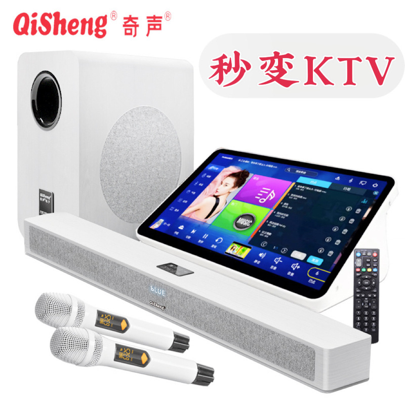 Qisheng Home Living Room Singing K Song Echo Wall Audio Subwoofer Set Ktv with Bluetooth Tv Karaoke Home