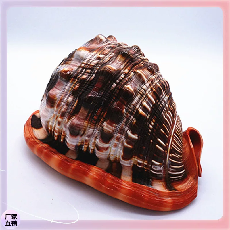 ✞Wanbao snail big conch shell crafts scenic spot sales shell gift souvenir spot wholesale four names