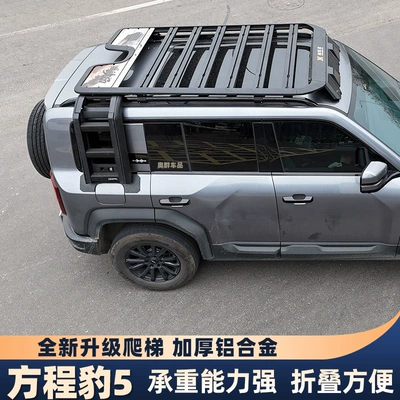 Suitable for Equinox Leopard 5/Titanium Roof rack - equation-leopard-5-side-ladder-black