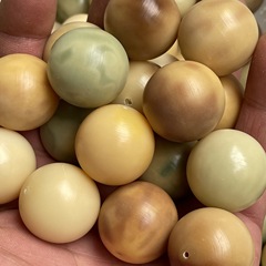 24MM花皮大卡菩提根乾磨散珠菩提種菲料着地果大サイズ湯円珠