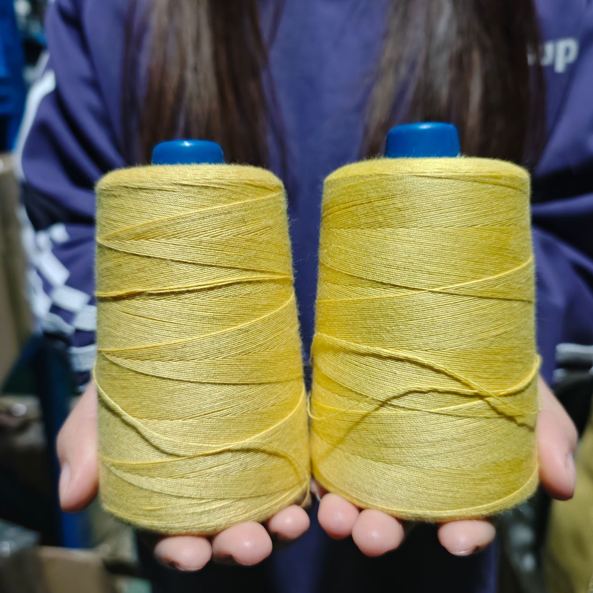 微信图片_20250225112344