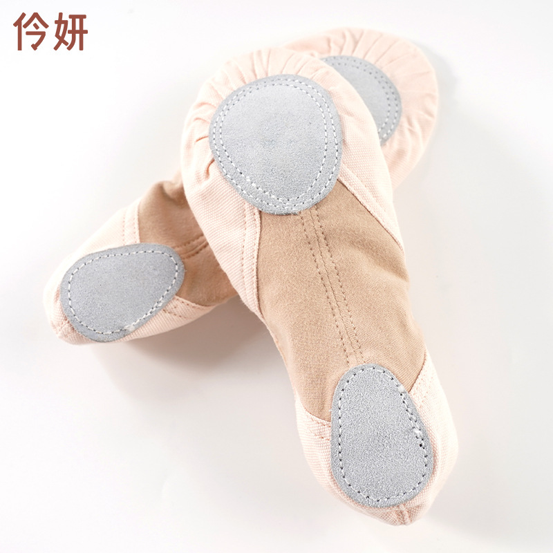 Children's Dance Shoes Women's Soft-soled Exercise Shoes Girls Stretch Cloth Patchwork Adult Ballet Cat Claw Shoes